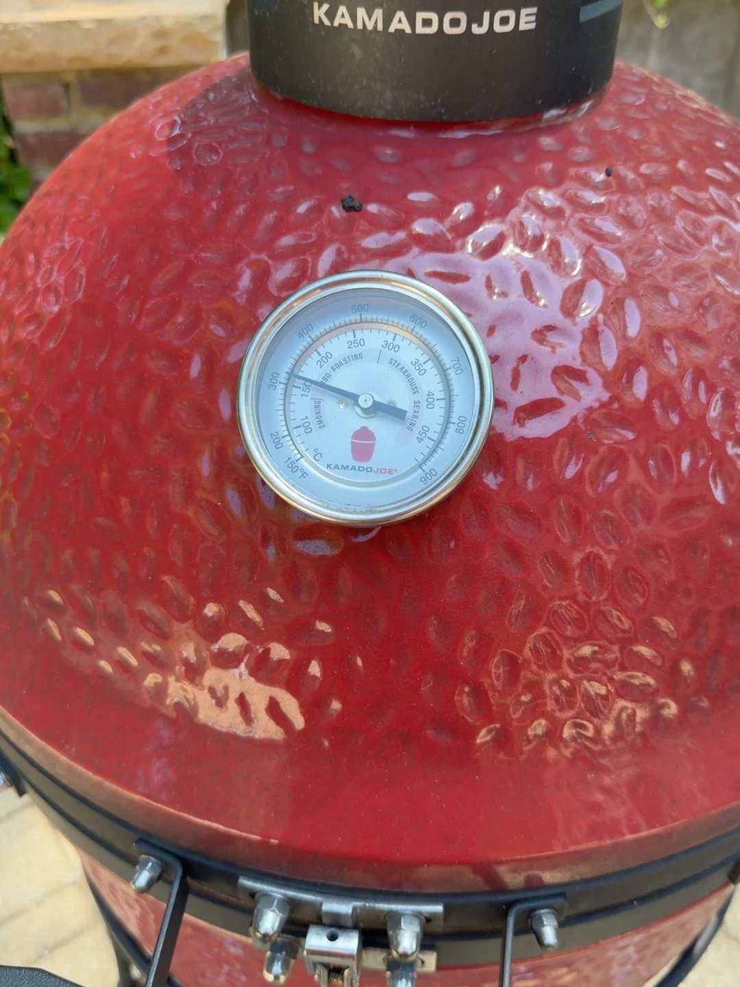 Dome temperature during the cook.